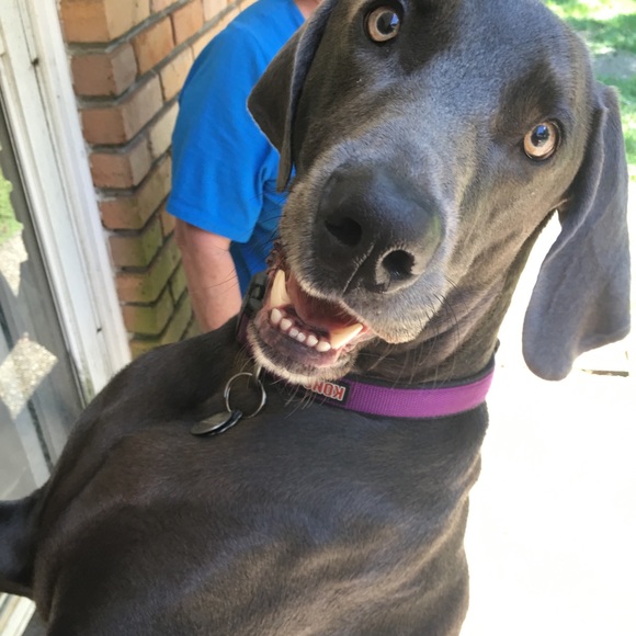 Meet your Posher, Drew - Picture 1 of 1